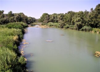 Emergenza idrica 2021: limitazione dei prelievi dai corsi d’acqua del bacino del Metauro