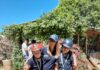 Anche a Osimo brillano i cavalieri della Bisciugola: che bravi Giulio e Vittoria