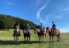 In bici, a cavallo, camminando, a tavola: vivi le Terre del Catria