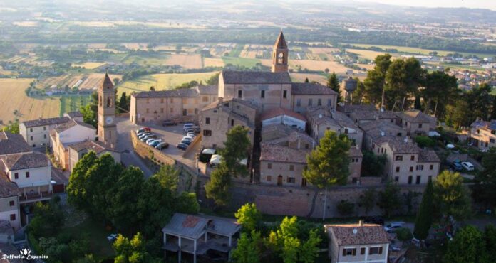 MONTE
