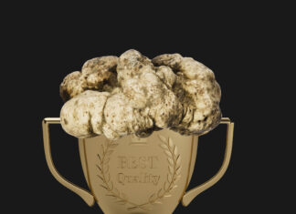Tartufo Award 2021: Acqualagna, Amandola, Apecchio, Fossombrone, Pergola, Sant’Angelo in Vado unite nel segno della ripartenza per la valorizzazione del re della tavola