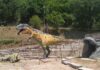 Riapre al Furlo il Museo dei riciclosauri, la star è un enorme T-Rex