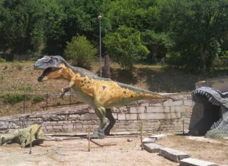 Riapre al Furlo il Museo dei riciclosauri, la star è un enorme T-Rex