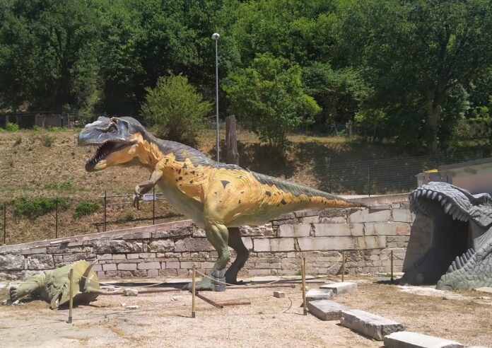 foto trex