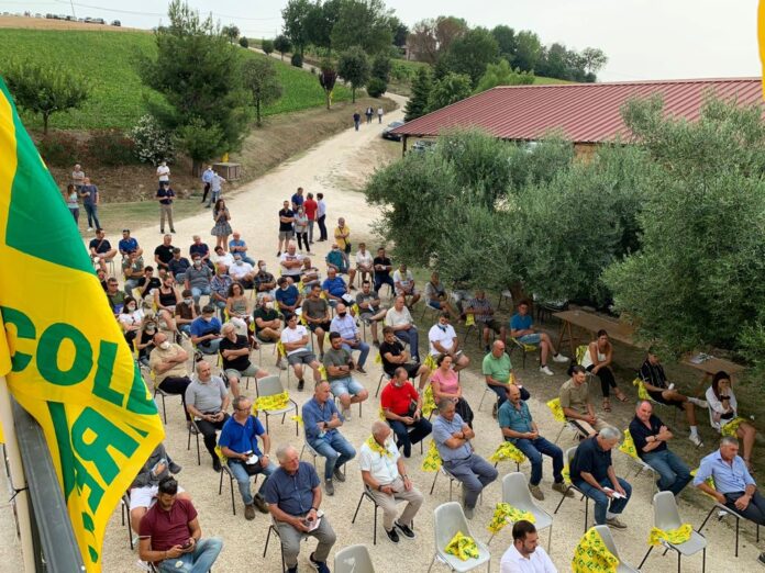 incontro barbabietole