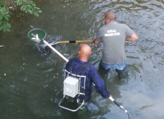 Volontari Fipsas salvano i pesci intrappolati dalla siccità nei fiumi Bosso, Burano e Biscubio