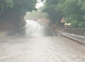 Bombe d’acqua nell’entroterra pesarese: allagamenti, alberi caduti e strade come torrenti. Non si segnalano danni a persone