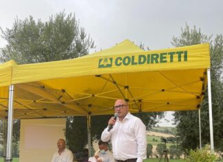Coldiretti Marche, campagna sos siccità: “Serve più gasolio agricolo per irrigazioni di salvataggio”