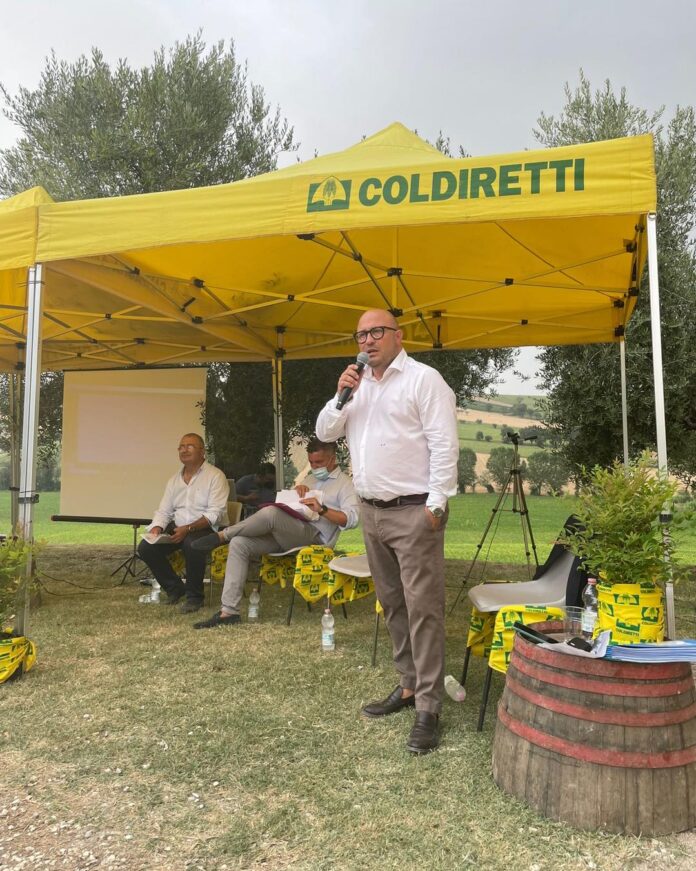 direttore frau
