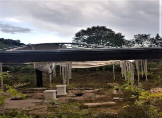 Italia Nostra denuncia il degrado nell’area archeologica di Calmazzo