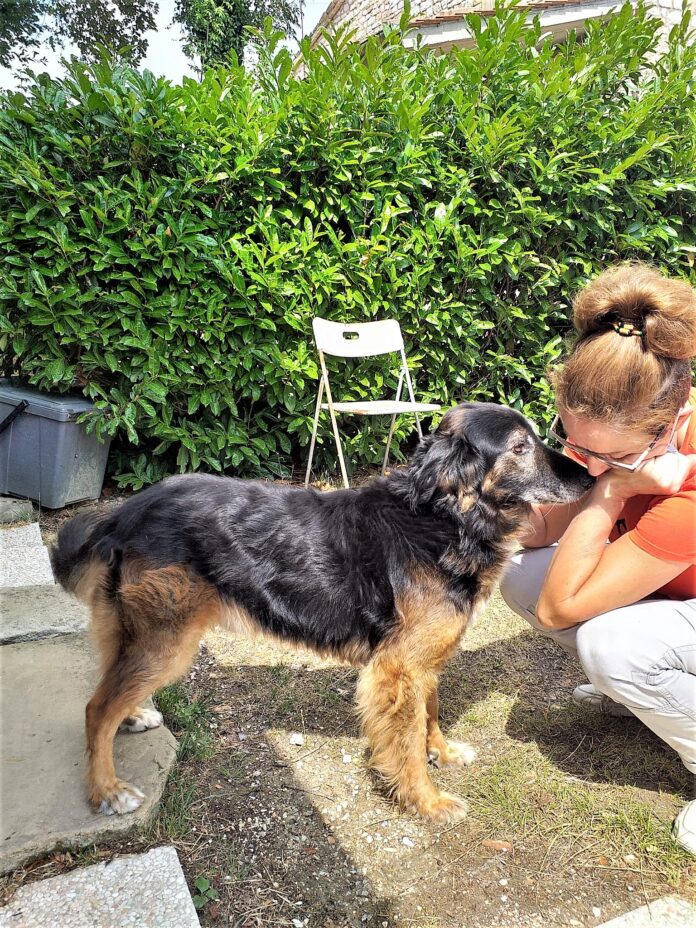 Jasper in compagnia di una volontaria dell'associazione