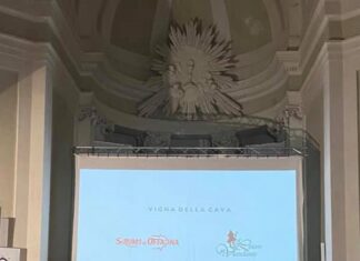Cinema e audiovisivo Marche, eletto presidente il fanese Secchiaroli