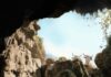 Al Festival di Venezia assegnato il Green Drop Award: “Il Buco” di Frammartino premiato come film “geologico”