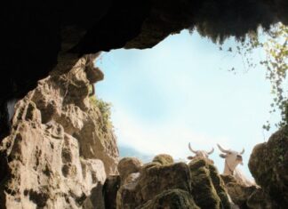 Al Festival di Venezia assegnato il Green Drop Award: “Il Buco” di Frammartino premiato come film “geologico”