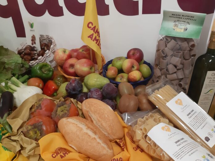 made in marche (1)
