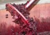 Coldiretti Marche, bene la Regione: “Sugli scarti della vinificazione ascoltati gli agricoltori”