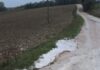 Grandine a San Costanzo e zone limitrofe, a rischio la raccolta delle olive