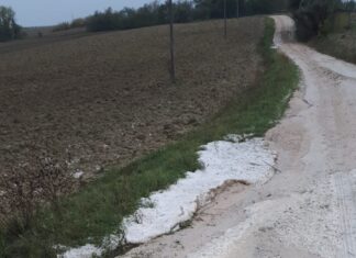 Grandine a San Costanzo e zone limitrofe, a rischio la raccolta delle olive