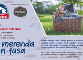 Domenica a Fano visita al “Gattoparco”