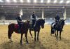 Il Cavallo del Catria in vetrina nella prestigiosa Fieracavalli Verona