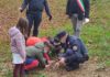 Un albero per il futuro, la prima primaria di Apecchio pianta un piccolo esemplare di quercia