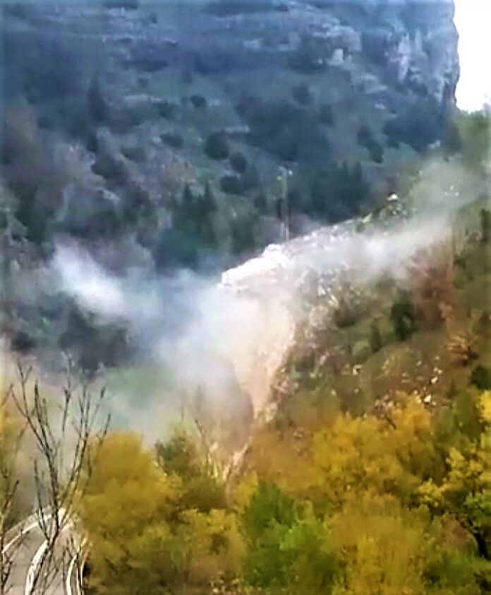 IMG-20211108-WA0004
