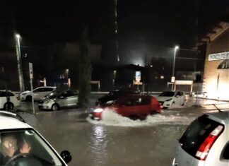 Maltempo, a Marotta e Mondolfo strade e scantinati allagati da acqua e fango, alberi caduti