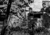 “Noi Partigiani – Storie di Resistenza”: venerdì 3 dicembre al cinema Politeama di Fano proiezione del film documentario