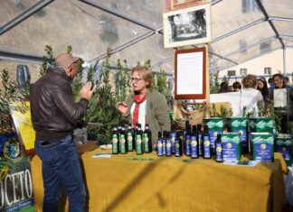 Bilancio positivo, vola “Cartoceto Dop, il Festival”