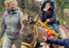 Evviva Montemontanaro paese in festa con gli asini