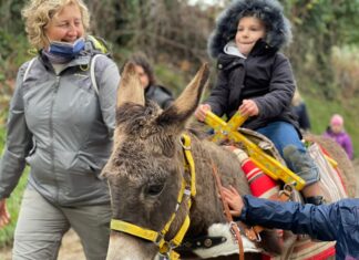 Evviva Montemontanaro paese in festa con gli asini