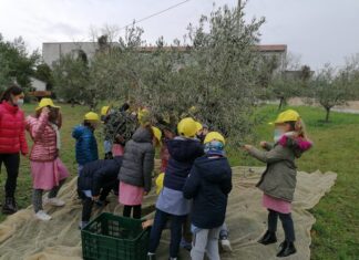 Marche, nuovi bandi per il sostegno a enoturismo ed oleoturismo
