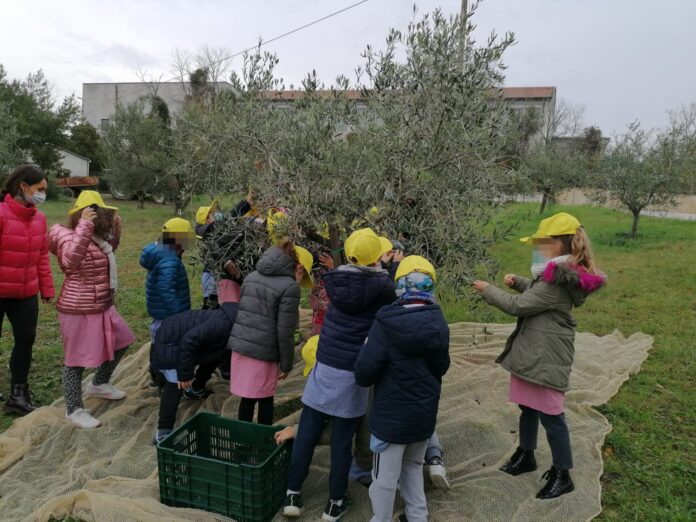 educazione alimentare olio (1)