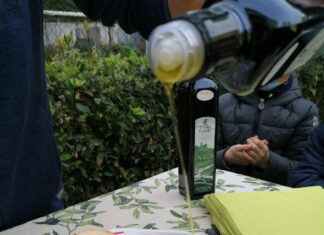 Coldiretti Pesaro Urbino, meno olio in provincia: “Ma di qualità, sabato festa con Campagna Amica”
