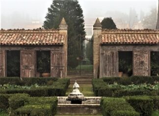 Un omaggio in video alla cultura enologica e alle bellezze paesaggistiche di Pesaro e della vallata del Metauro