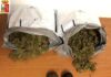Droga: oltre 1 kg marijuana e hascisc da corriere, un arresto nel Pesarese