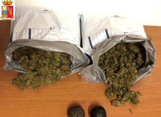 Droga: oltre 1 kg marijuana e hascisc da corriere, un arresto nel Pesarese