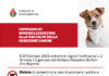 Fossombrone, ordinanza del sindaco. Se i cani sporcano chi li accompagna deve pulire