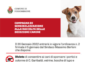 Fossombrone, ordinanza del sindaco. Se i cani sporcano chi li accompagna deve pulire