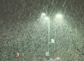 Provincia di Pesaro Urbino, da domani pomeriggio neve anche a quote basse