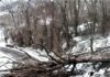 Colpo di coda dell’inverno: neve e vento forte in provincia