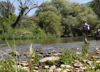 Regione e Fipsas siglano un accordo per il futuro della pesca sportiva e agonistica delle Marche
