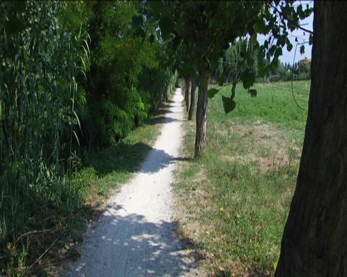 pista-ciclabile-interquartieri-arzilla-lido-6