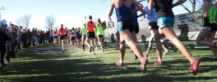 runners-2365067_1920-845x321