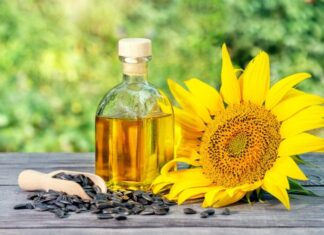 L’olio di semi di girasole è diventato il nuovo oro giallo
