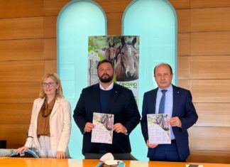 Cantiano Fiera Cavalli, in vetrina il cavallo del Catria e le tante eccellenze del territorio