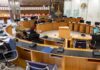 Consiglio, approvato il Piano annuale per la gestione del cinghiale nella Riserva del Furlo
