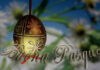 Buona Pasqua da Non Solo Flaminia