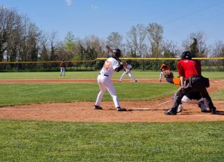 Fano Baseball 94, una sconfitta e una vittoria nella giornata d’esordio