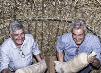 Formaggio di Fossa di Sogliano Dop, menu di Pasquetta in formato picnic immersi tra le bellezze naturali della Gola del Furlo